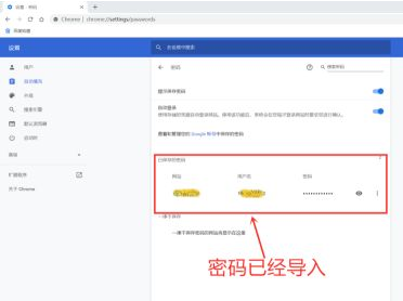 谷歌浏览器如何导入账号密码13