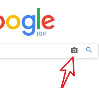 手机谷歌浏览器如何以图搜图6