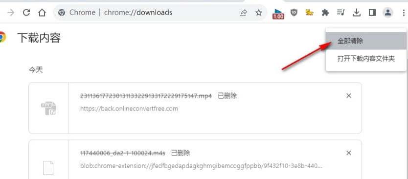 谷歌浏览器如何一键清除所有下载记录5