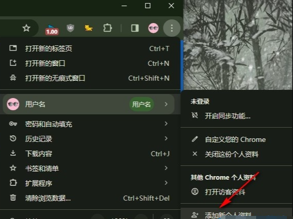 谷歌浏览器如何添加新的个人资料4