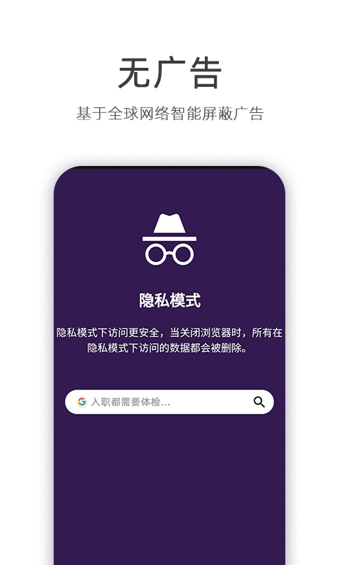 安全浏览器绿色版截图4